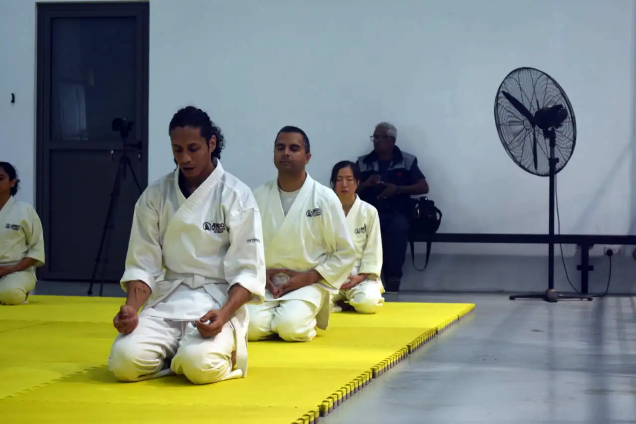 aikido-mauritius-gal-1